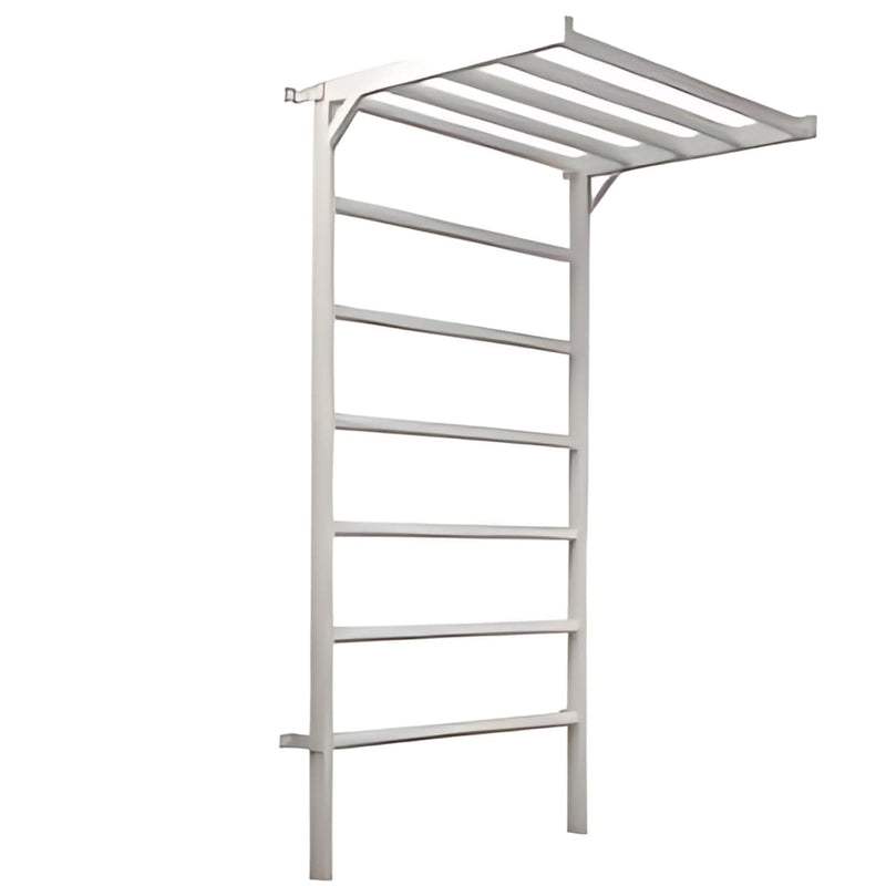 ESCALERA SUECA DE METAL – REHABILITACIÓN Y ENTRENAMIENTO FÍSICO