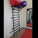 ESCALERA SUECA DE METAL – REHABILITACIÓN Y ENTRENAMIENTO FÍSICO