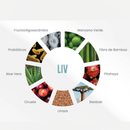 LIV – Fibra Digestiva que Desinflama y Equilibra tu Cuerpo
